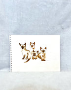 Siamese Babies, Watercolor on Paper