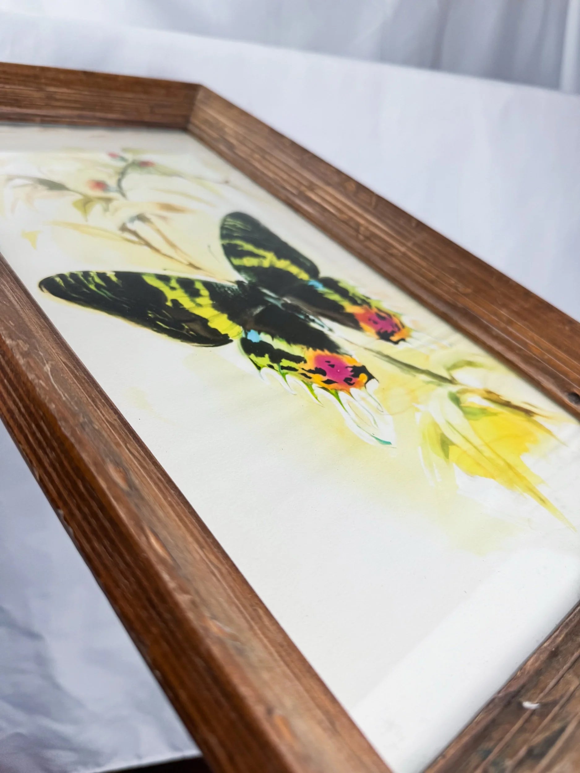 Framed Original Watercolor Butterfly Painting