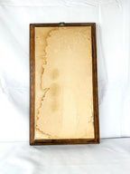 Framed Original Watercolor Butterfly Painting