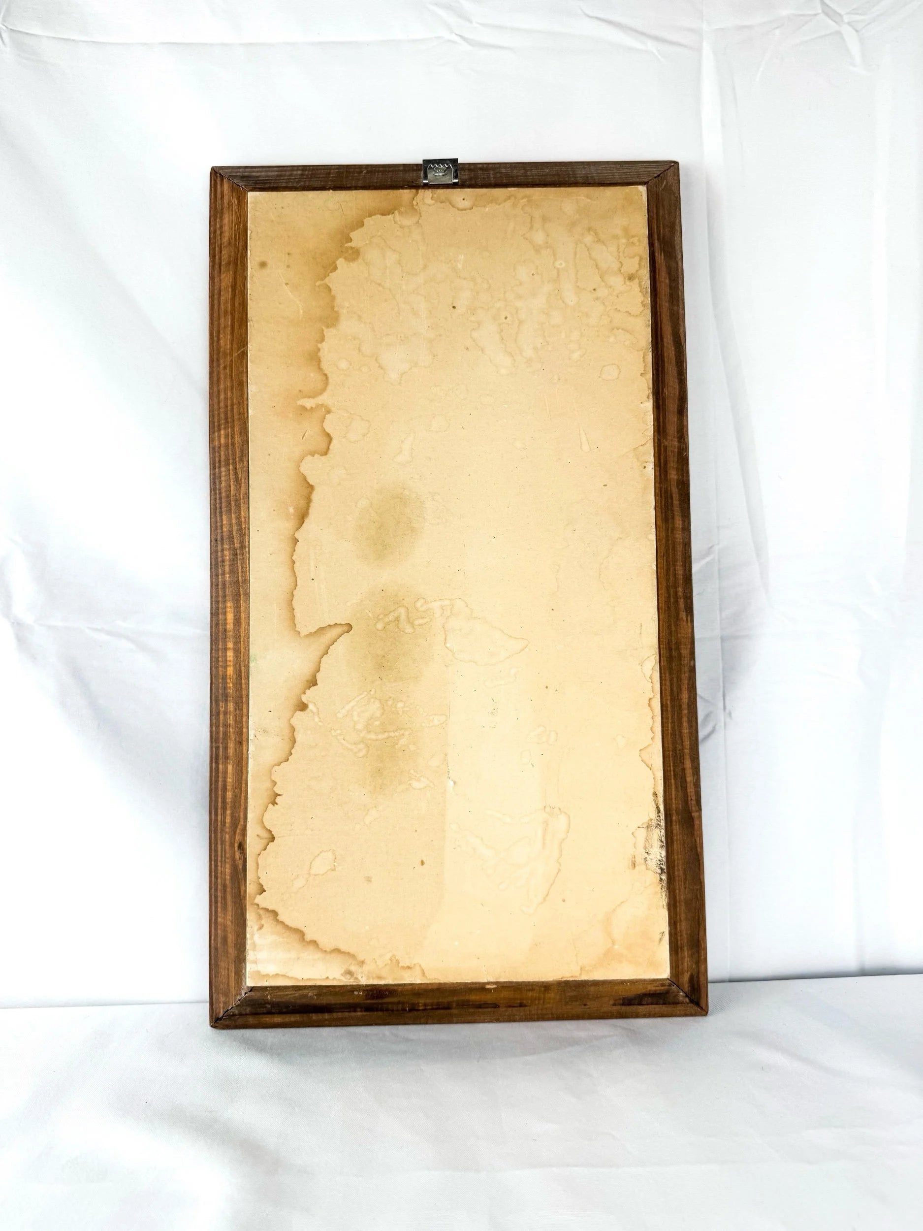 Framed Original Watercolor Butterfly Painting