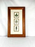 Framed Plant Wall Art