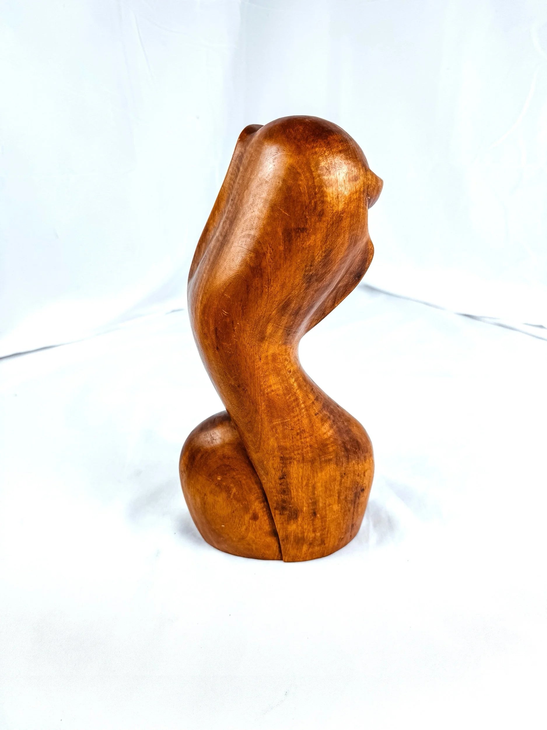 MCM Solid Wood Hand Carved Madonna