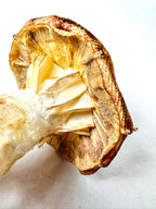 Single Rose Pink Floral Mushroom