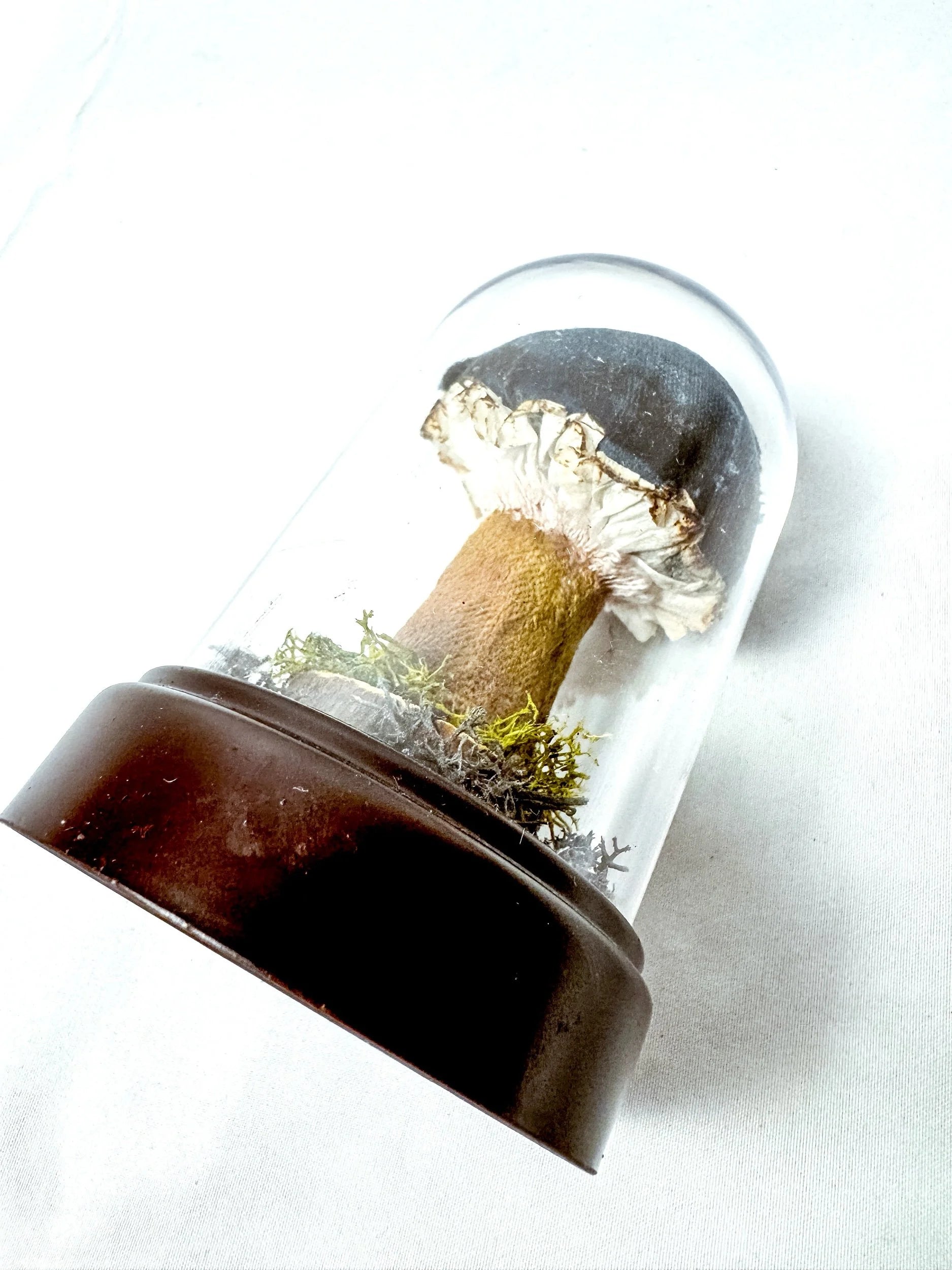 Single Teal Fabric Mushroom on Wooden Base Under Dome