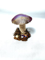 Single Purple Velvet Mushroom on Wooden Stump w/ Crystals