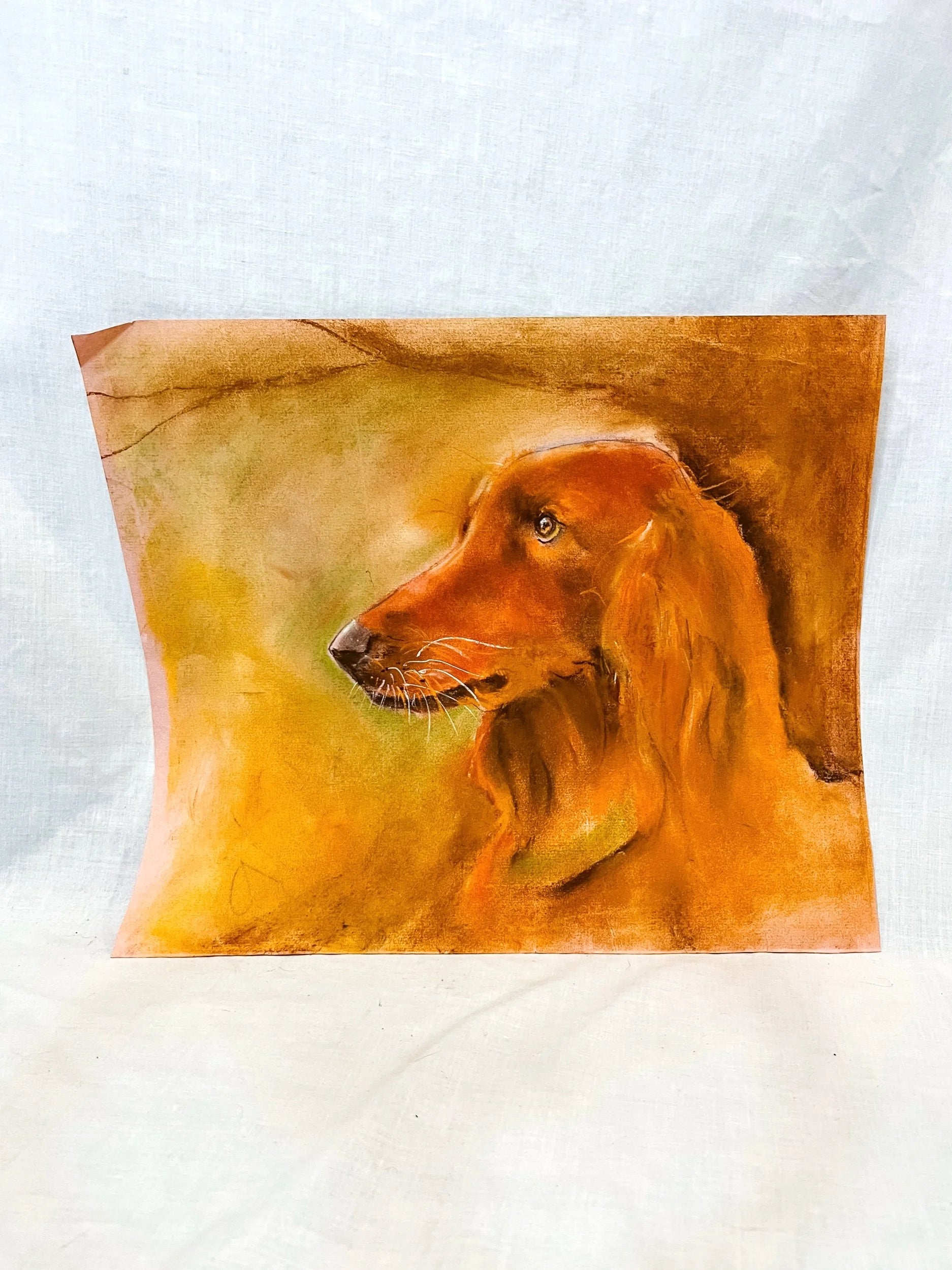 Bird Dog, Pastel Painting on Paper