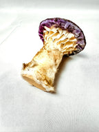 Single Beaded Purple Velvet Mushroom