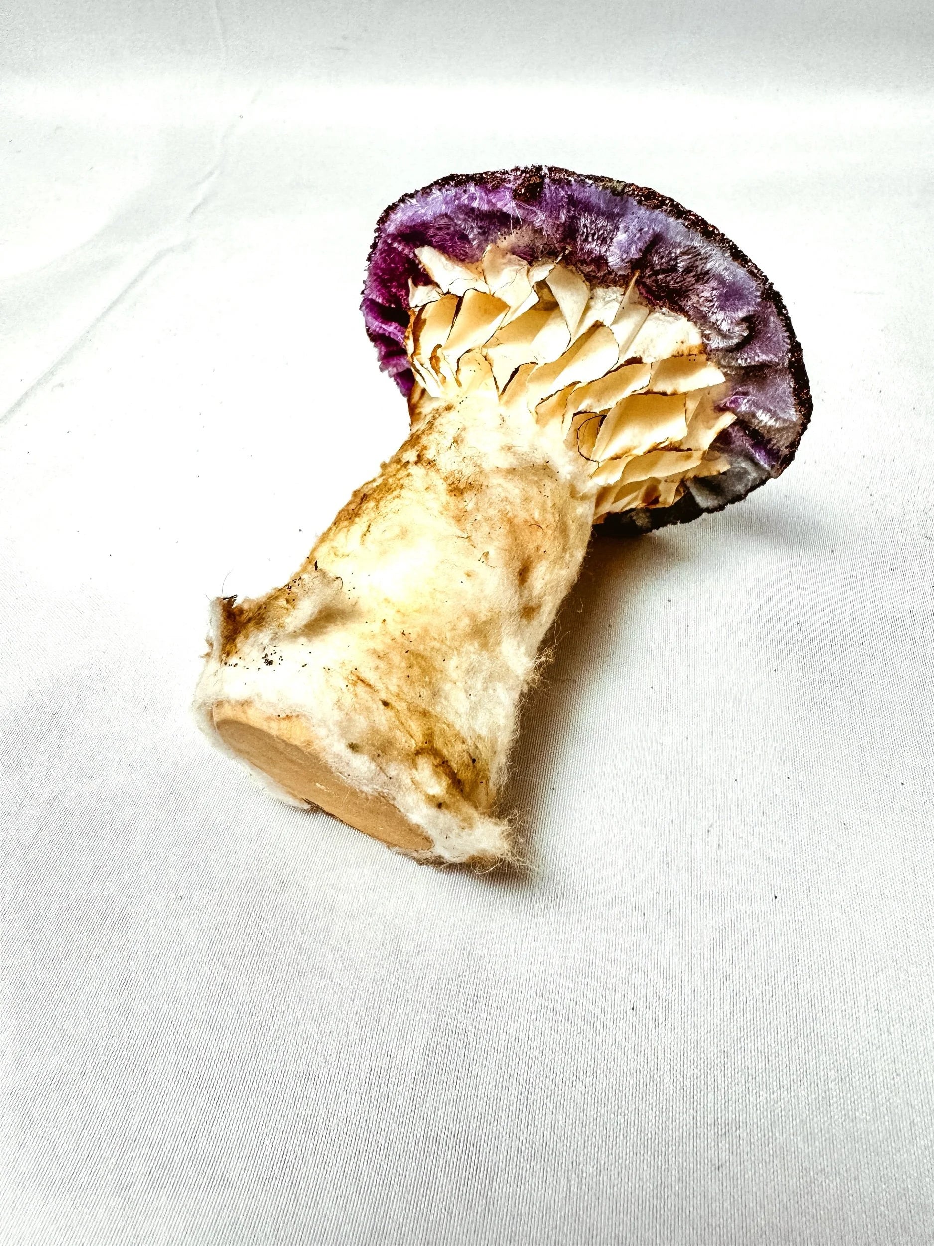 Single Beaded Purple Velvet Mushroom