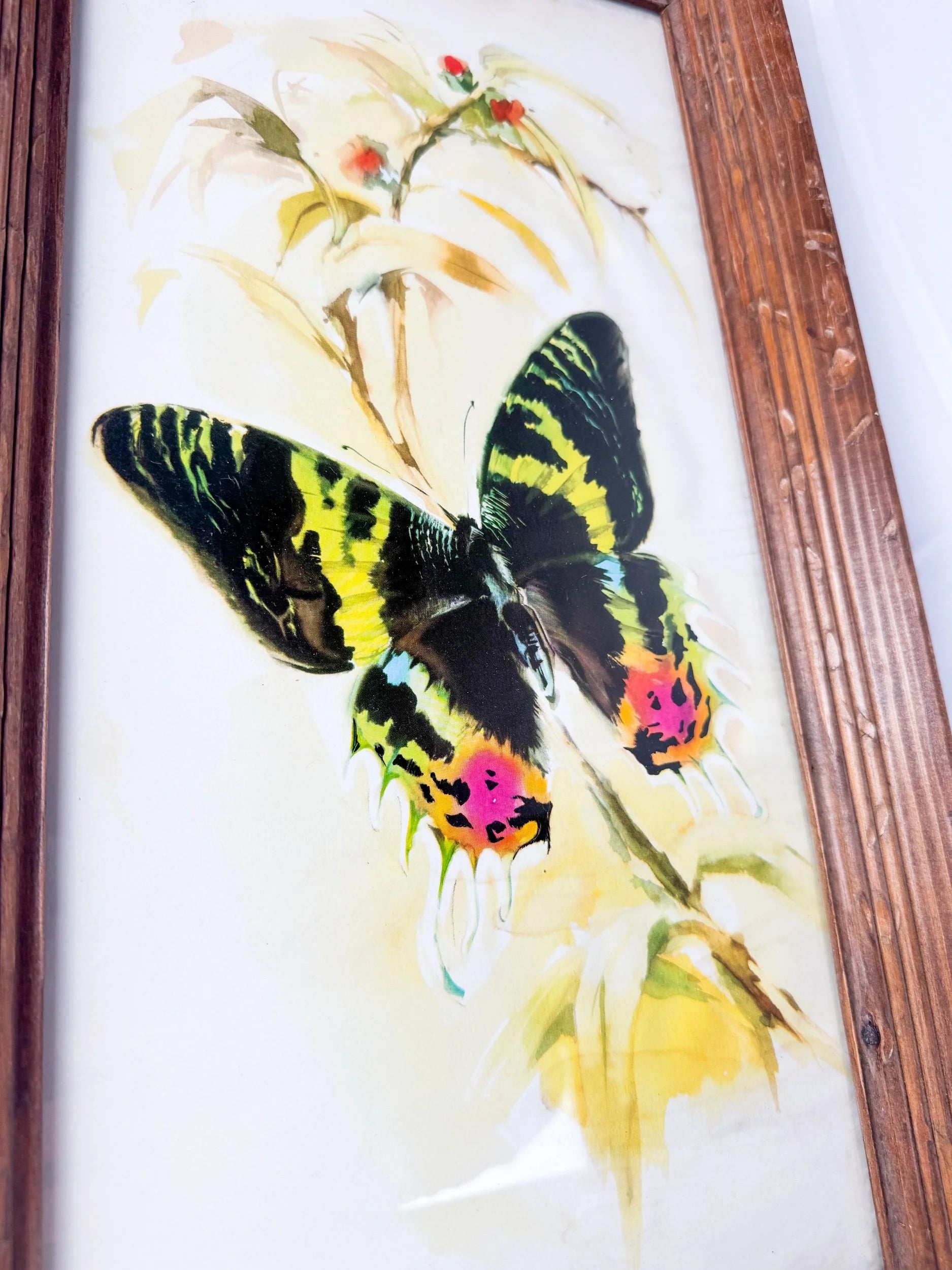 Framed Original Watercolor Butterfly Painting