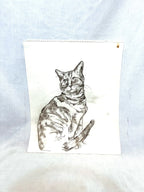 Tom, Charcoal Sketch on Paper