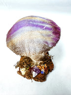 Single Purple Velvet Mushroom on Wooden Stump w/ Crystals
