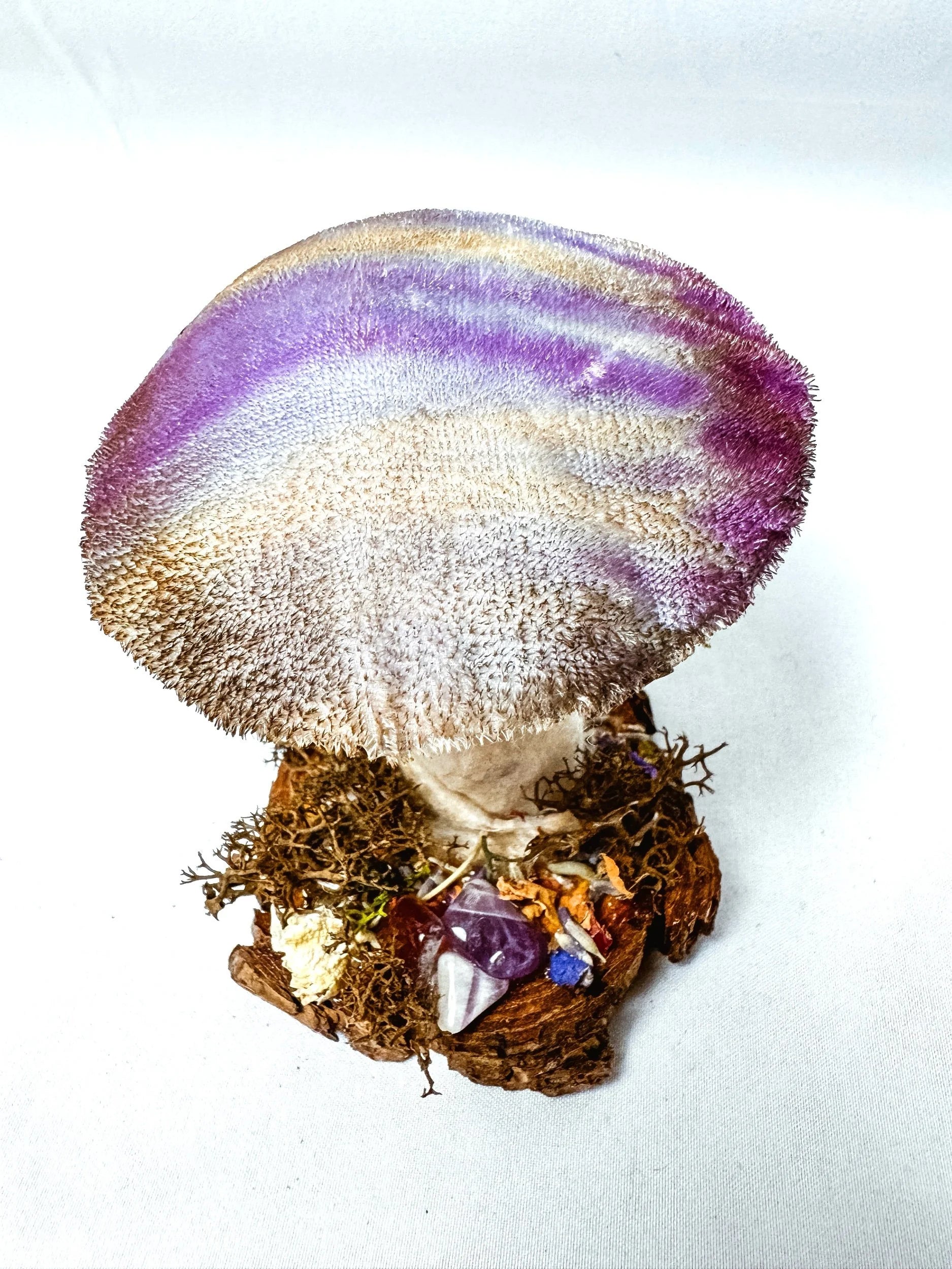 Single Purple Velvet Mushroom on Wooden Stump w/ Crystals