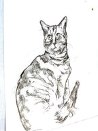 Tom, Charcoal Sketch on Paper