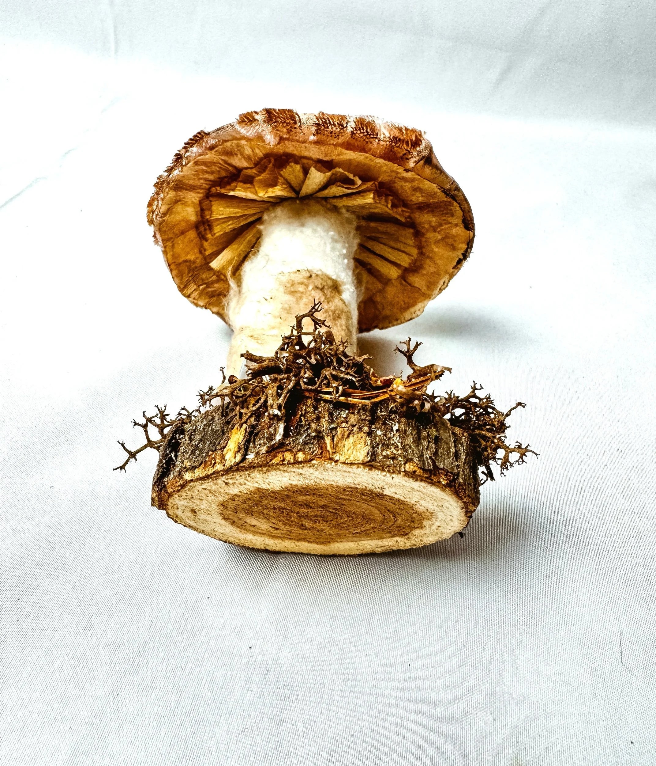 Single Textured Rose Pink Mushroom on Wooden Base w/ Crystals