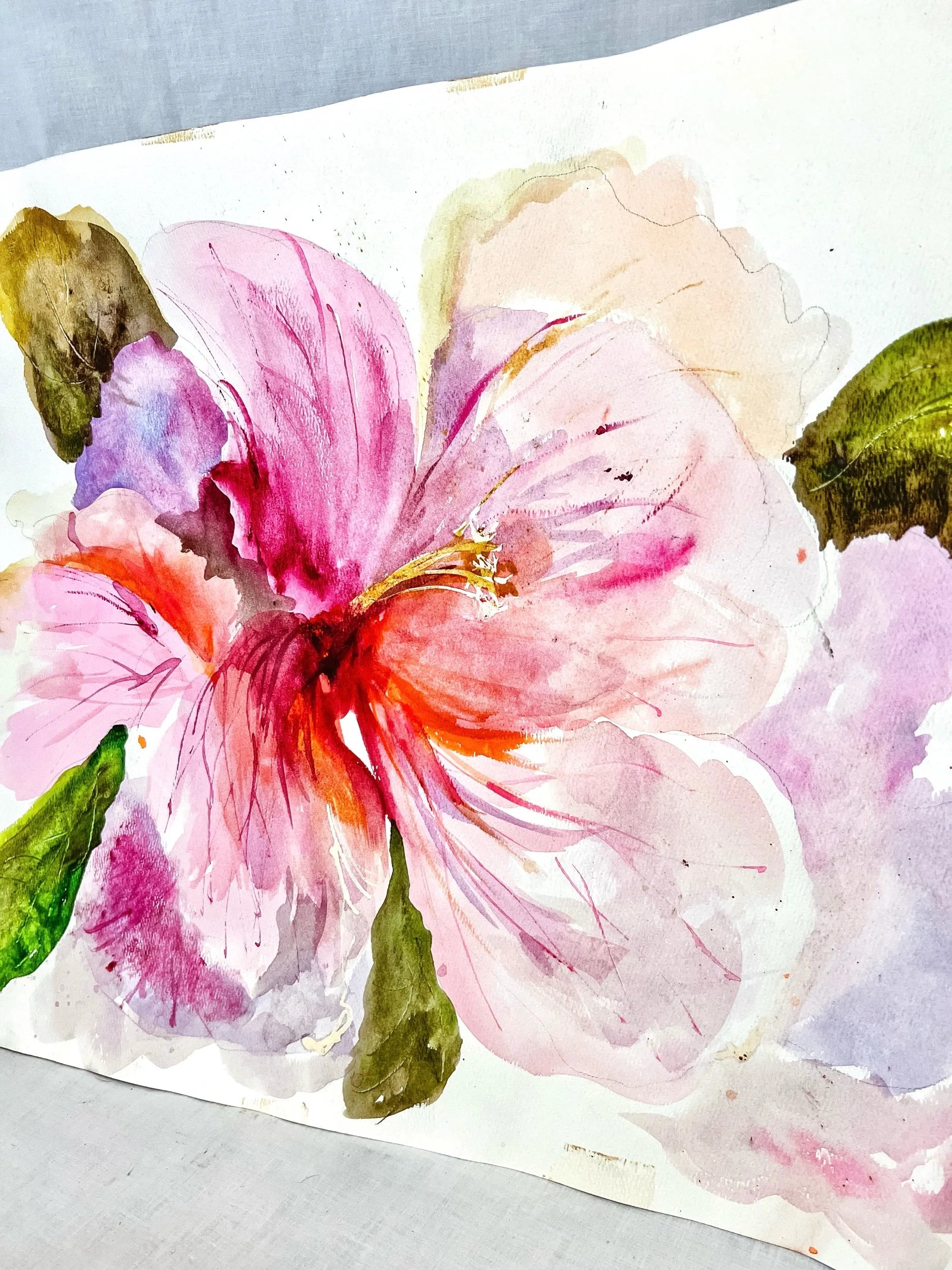 Hibiscus, Watercolor on Paper