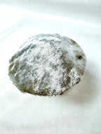 Single Blue Velvet Mushroom on Wooden Base