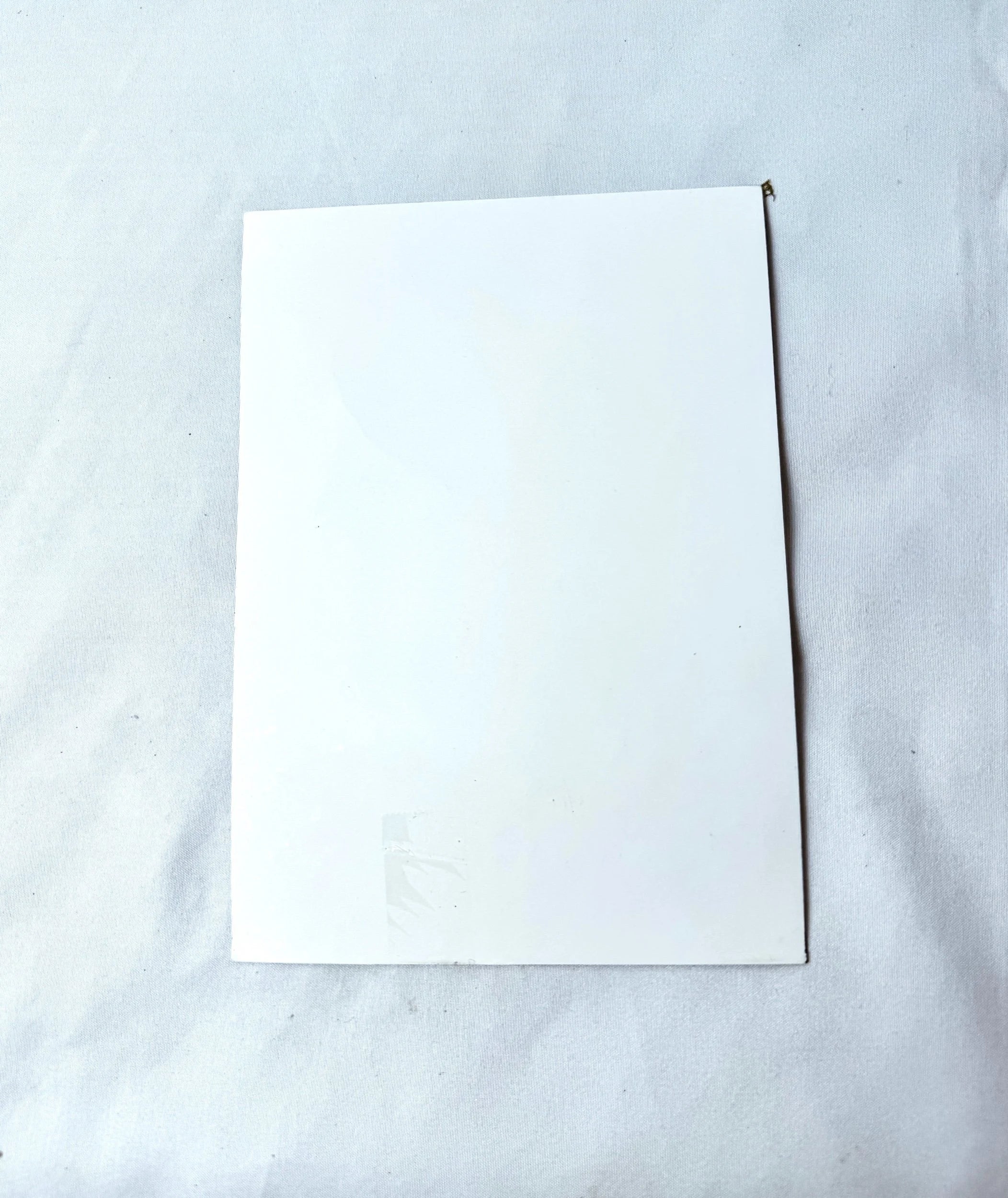 Original Painting, Red Mushrooms Over Book Page