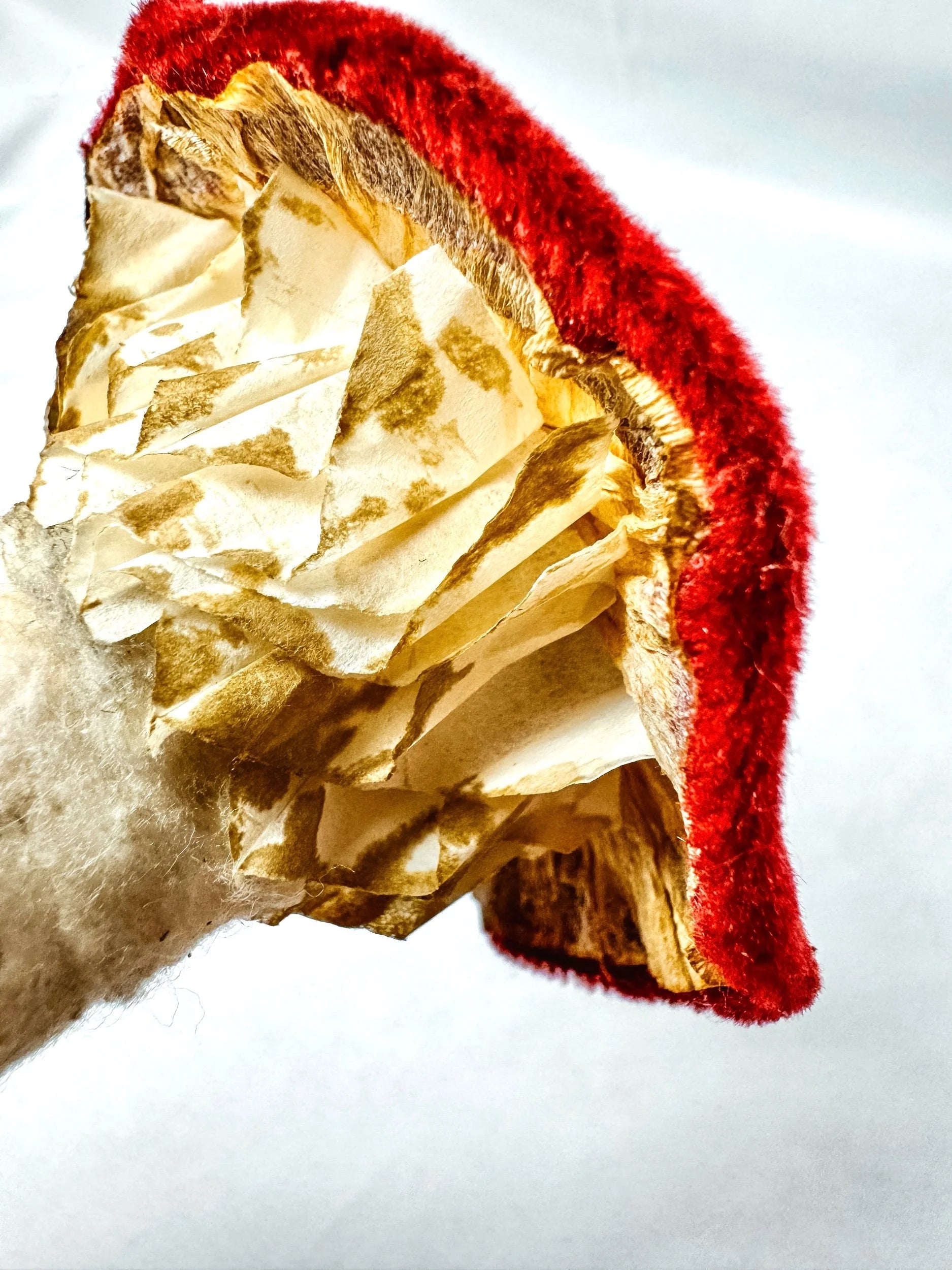 Single Maroon Velvet Mushroom