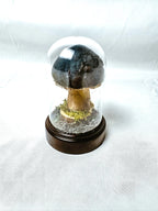 Single Teal Fabric Mushroom on Wooden Base Under Dome