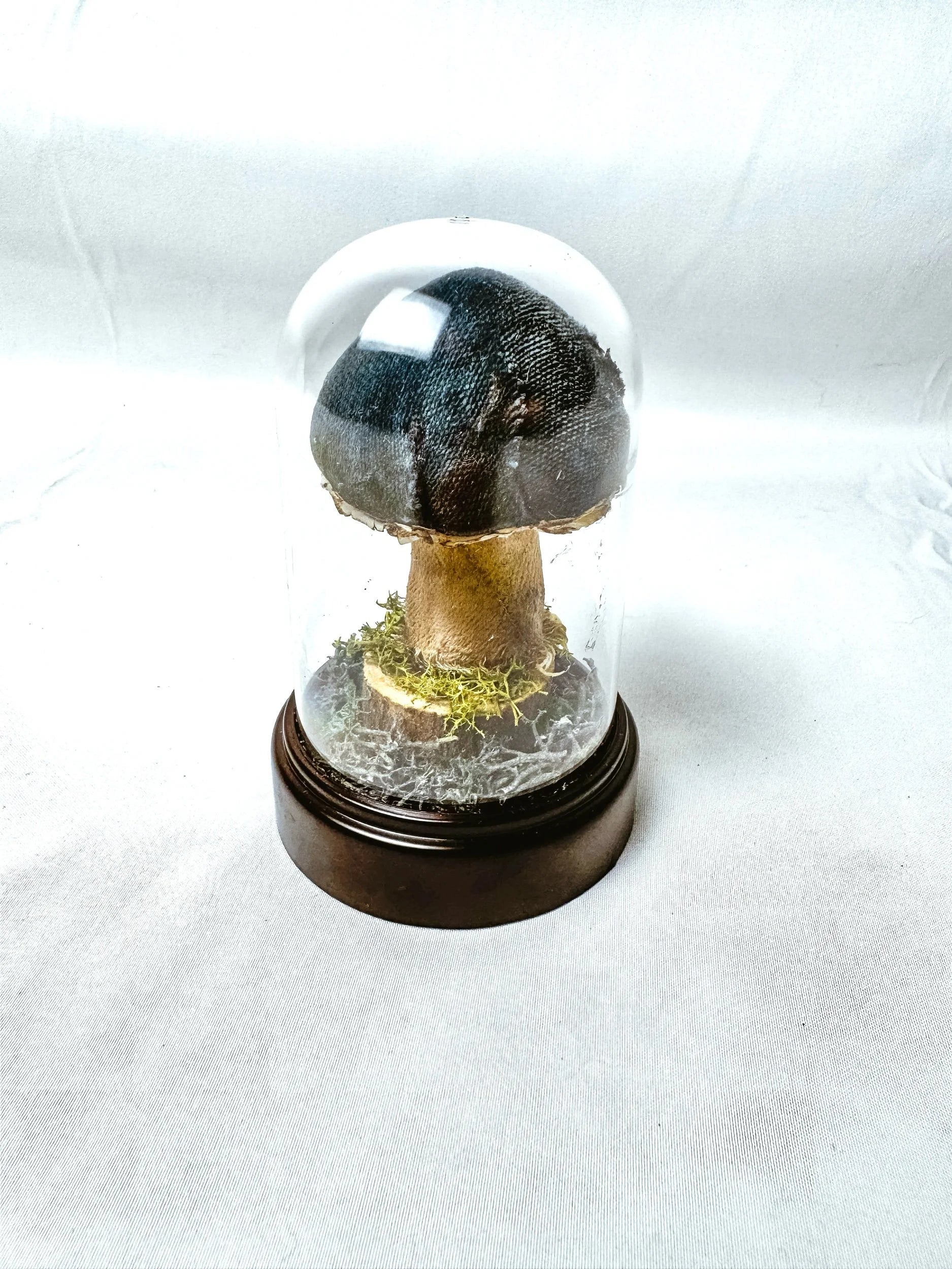Single Teal Fabric Mushroom on Wooden Base Under Dome