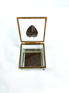 Silver Heart Mirrored Glass and Brass Box