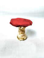 Single Maroon Velvet Mushroom