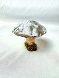 Single Blue Velvet Mushroom on Wooden Base