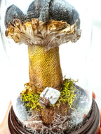 Single Teal Fabric Mushroom on Wooden Base Under Dome