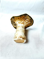 Single Olive Green Velvet Mushroom