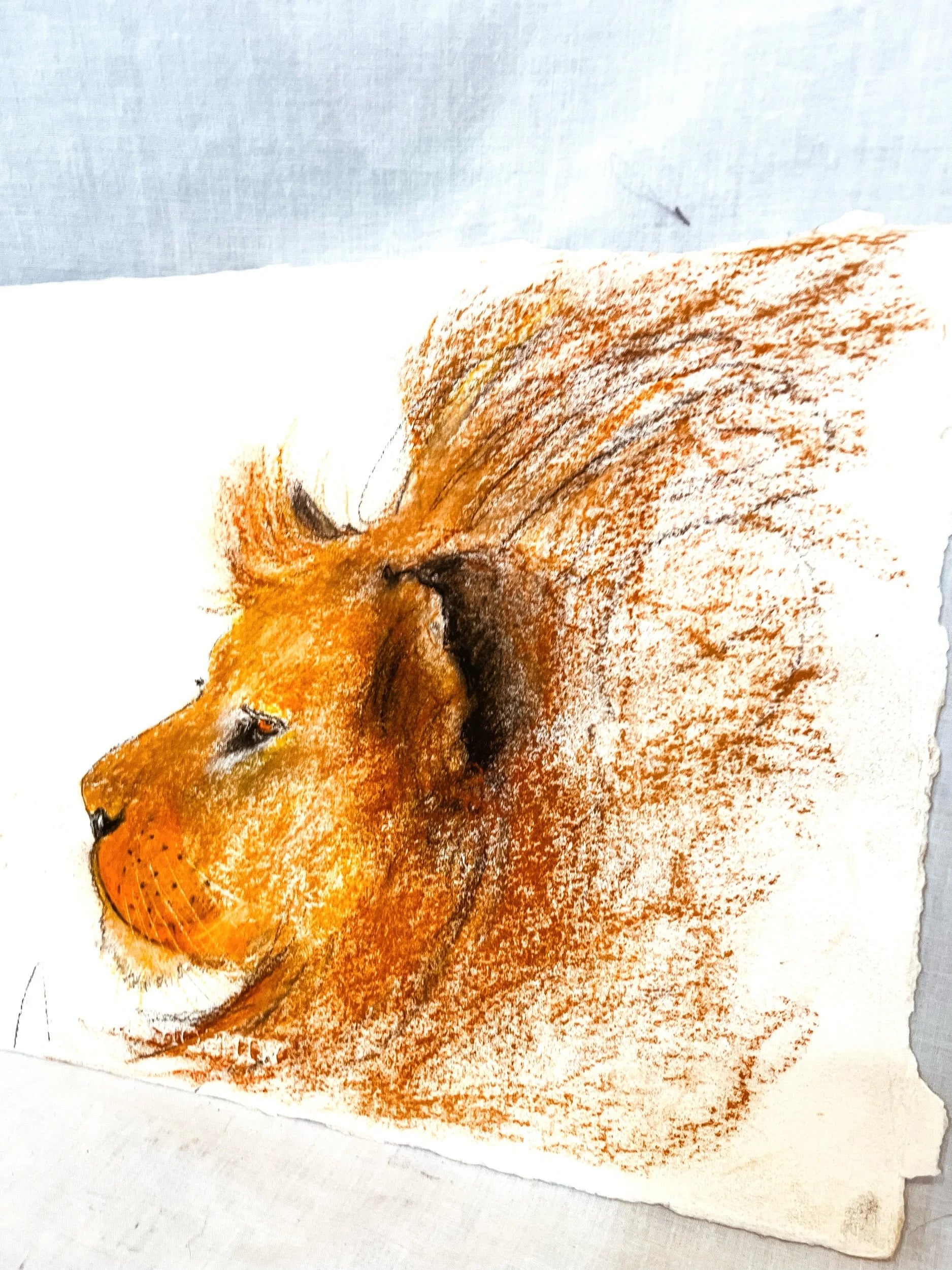 Lion Pastel Painting on Watercolor Paper