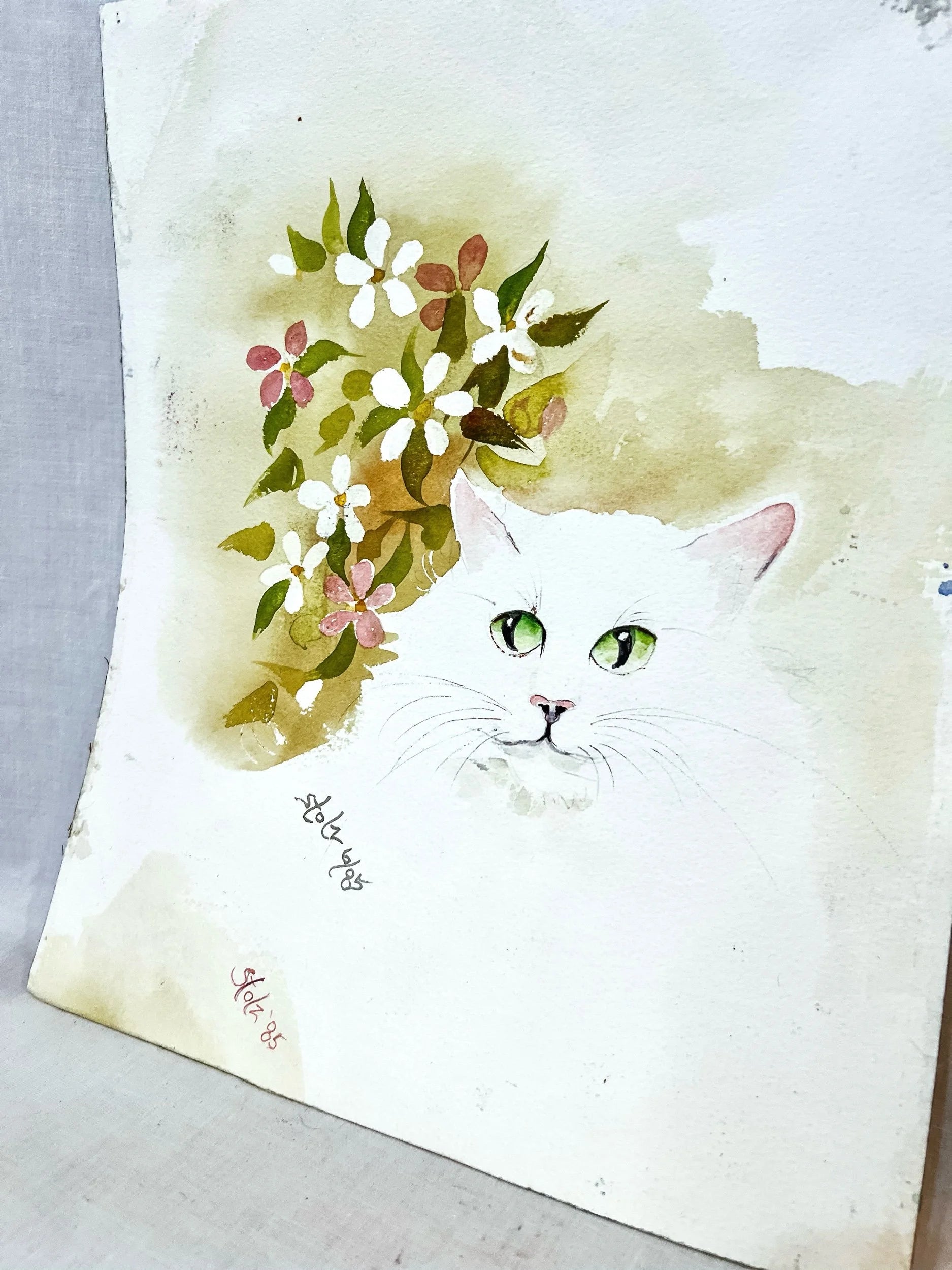 White Cat, Watercolor on Paper