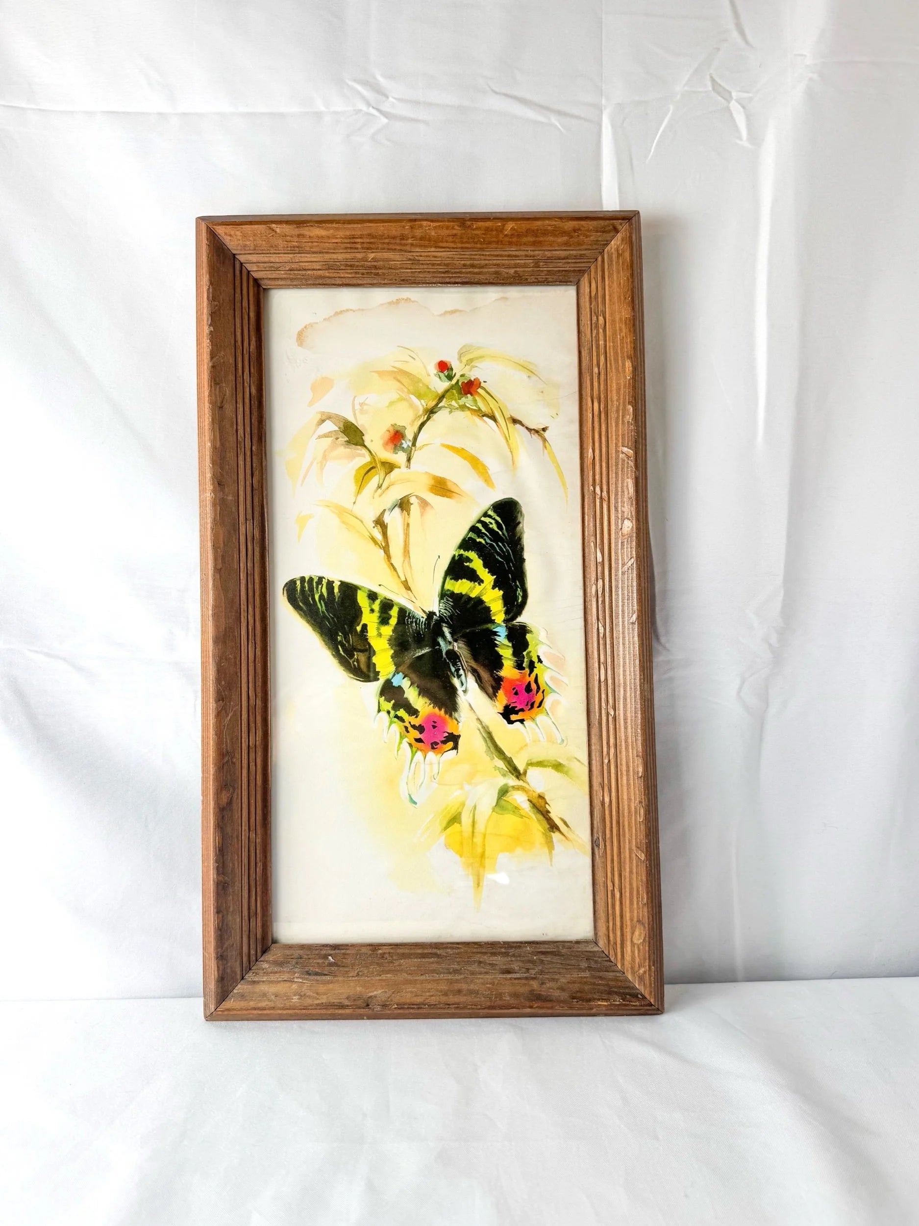 Framed Original Watercolor Butterfly Painting