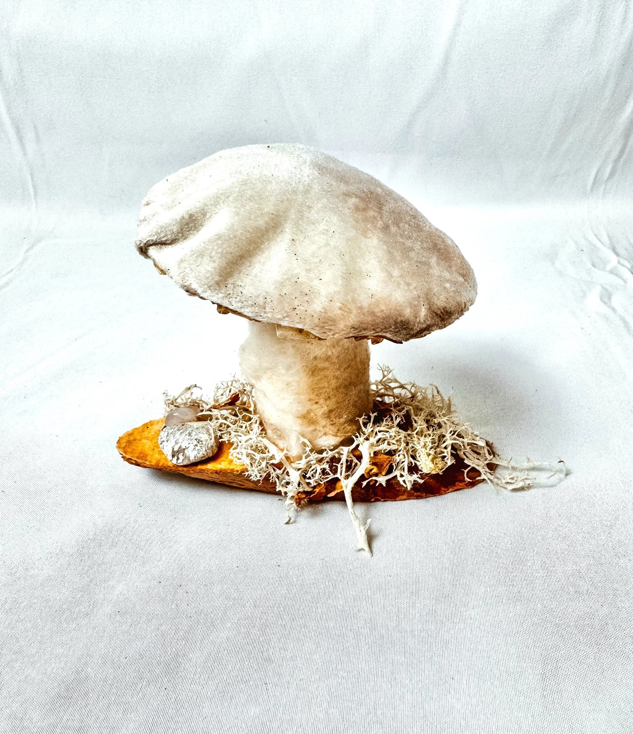 Single Cream Velvet Mushroom on Wooden Base w/ Crystals