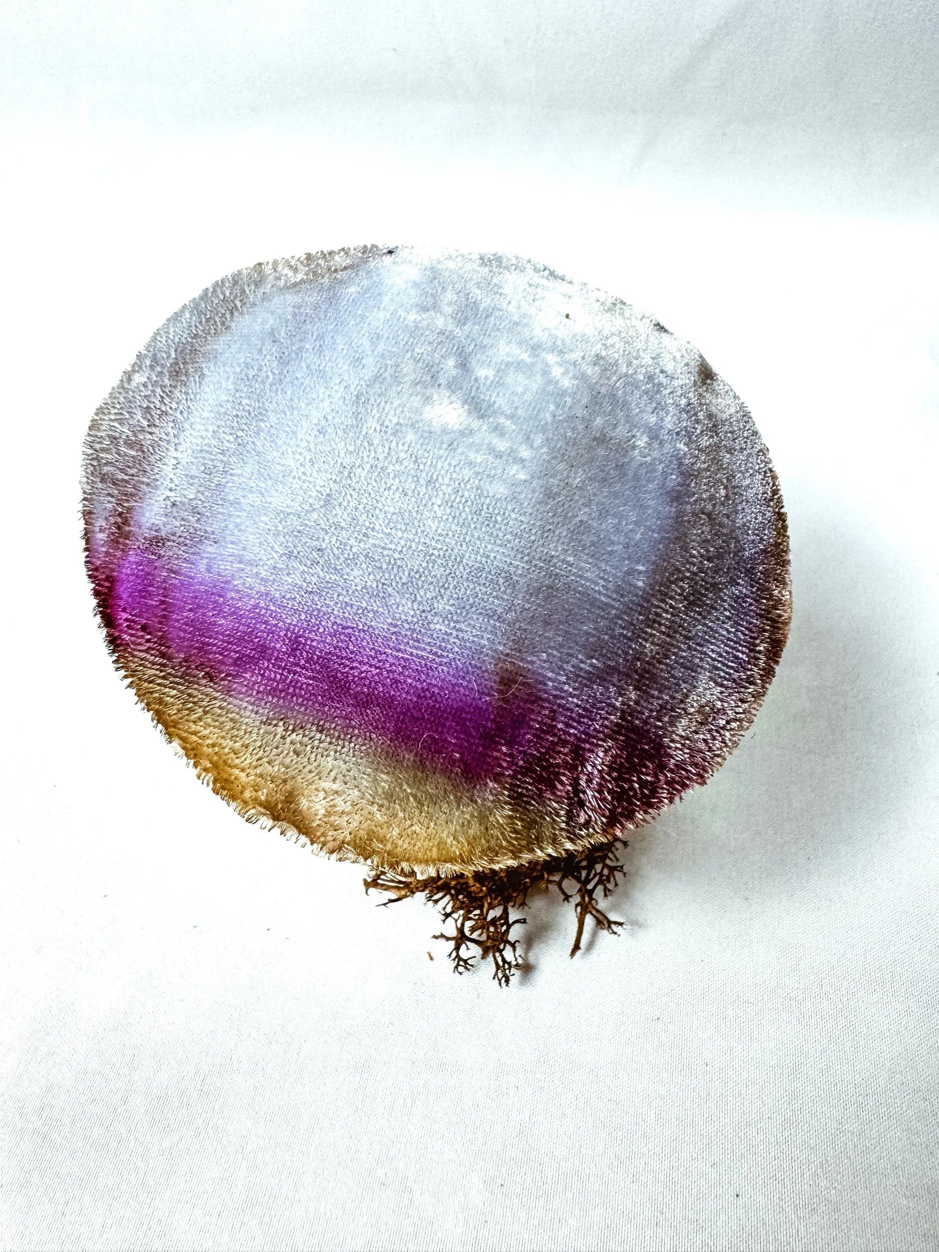 Single Purple Velvet Mushroom on Wooden Base w/ Crystal