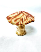 Single Rose Pink Floral Mushroom