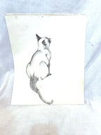 Peeping Tom, Charcoal Sketch on Paper