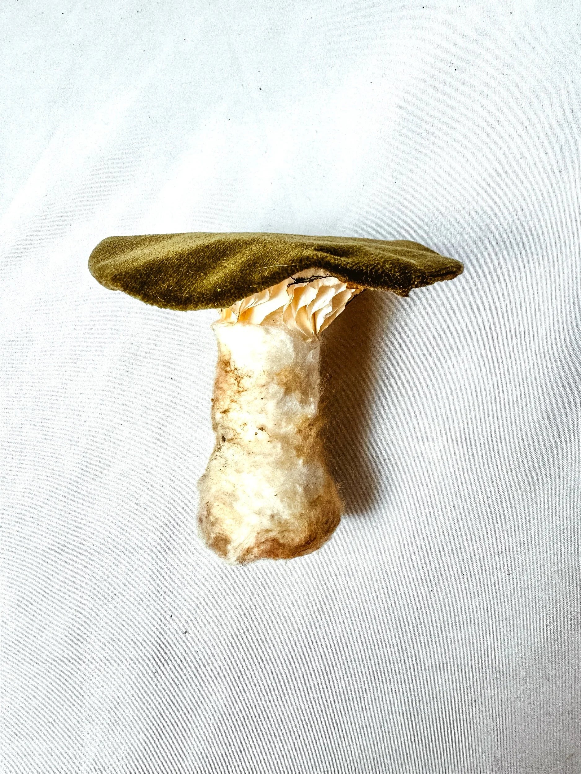 Single Olive Green Velvet Mushroom